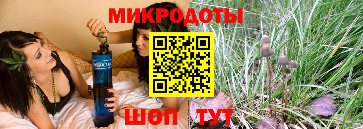 Ленинск-Кузнецкий  купить наркотик  Псилоцибиновые грибы GOLDEN TEACHER  Вход с VPN  Псилоцибиновые грибы мухоморы 